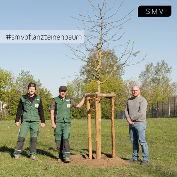 SMV pflanzt einen Baum